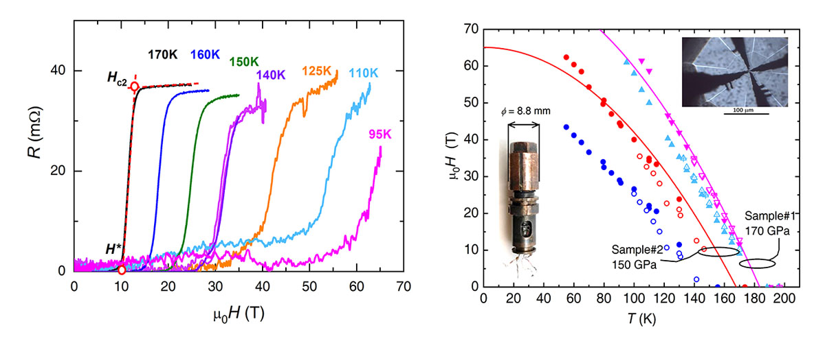 Superconducting upper critical fields as a function of temperature for two samples under pressures of 150 and 170 GPa.