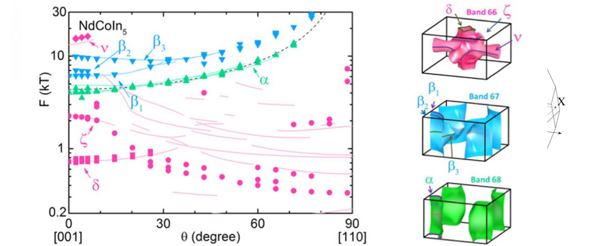 De Haas-van Alphen measurements (left) agree with the calculated Fermi surfaces (right). Colors in the plot correspond to matching surface calculations.