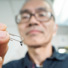 MagLab materials scientist Ke Han with tiny samples of manganese gallium, which has shown promise for magnetic applications.