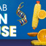 2019 MagLab Open House Banner