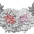The protein tryptophan synthase showing the active site (red) with hydrogen atoms.