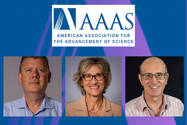 Left to right: Stephen Hill, Dragana Popovic, and Theo Siegrist