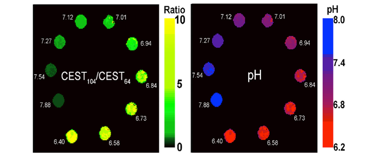 Left: pH-sensitive ratiometric response. Right: A pH map.