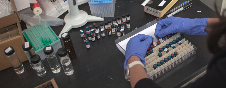 Romero sorts through sediment samples her team collected from the Gulf of Mexico.