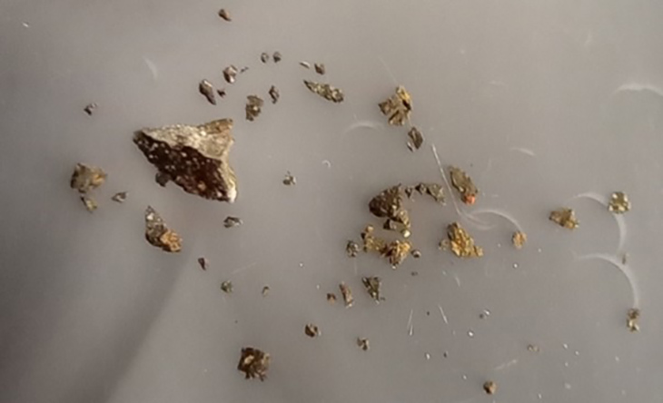 Pieces of the Murchison meteorite examined at the National MagLab
