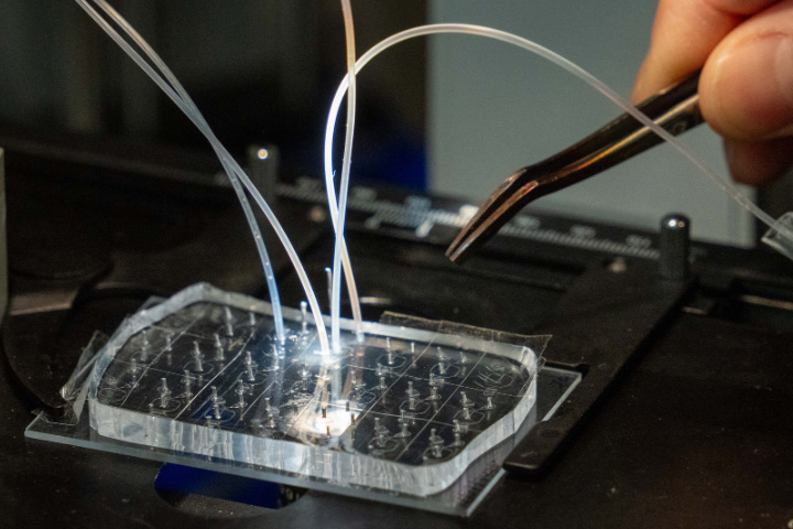 A microfluidics system for droplet screening