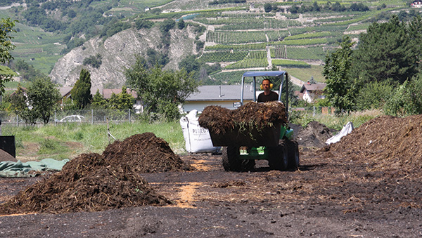 Field experiments were essential to fully understanding the properties of biochar.