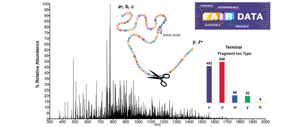 Fragments observed after transferring electrons to the protein carbonic anhydrase II. 