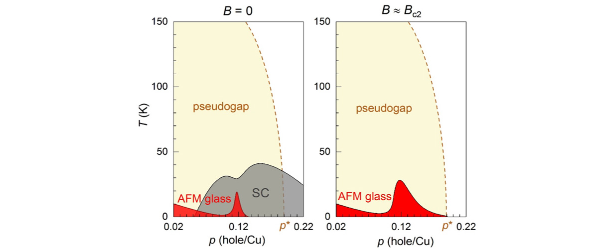 Left: the phase diagram of La2-pSrpCuO4 in zero external magnetic field (B = 0) shows no obvious connection between the antiferromagnetic (AFM) glass and pseudogap phases. Right: at magnetic fields sufficiently strong that superconductivity is suppressed, the AFM glass actually extends to the critical doping, p*~0.19, of the pseudogap phase, thereby revealing a hitherto hidden connection between the two phases.