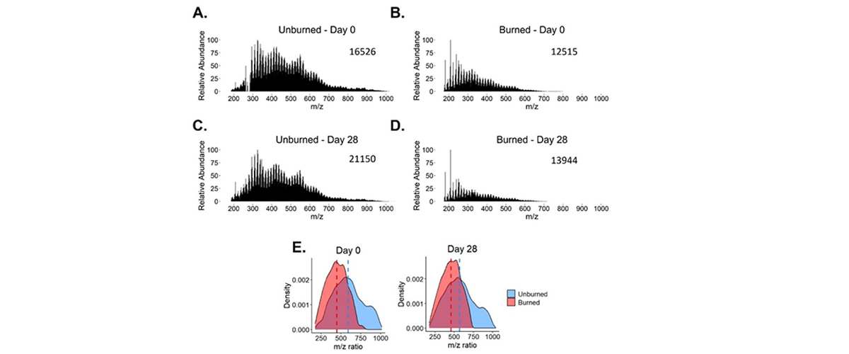 (A–D) FT ICR-MS mass spectra of unburned and burned soil from negative-mode electrospray ionization.  ). (E) These m/z ratios were compiled into density plots. 