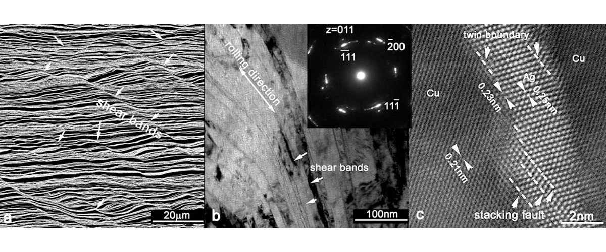 Microscopy images on longitudinal x-section