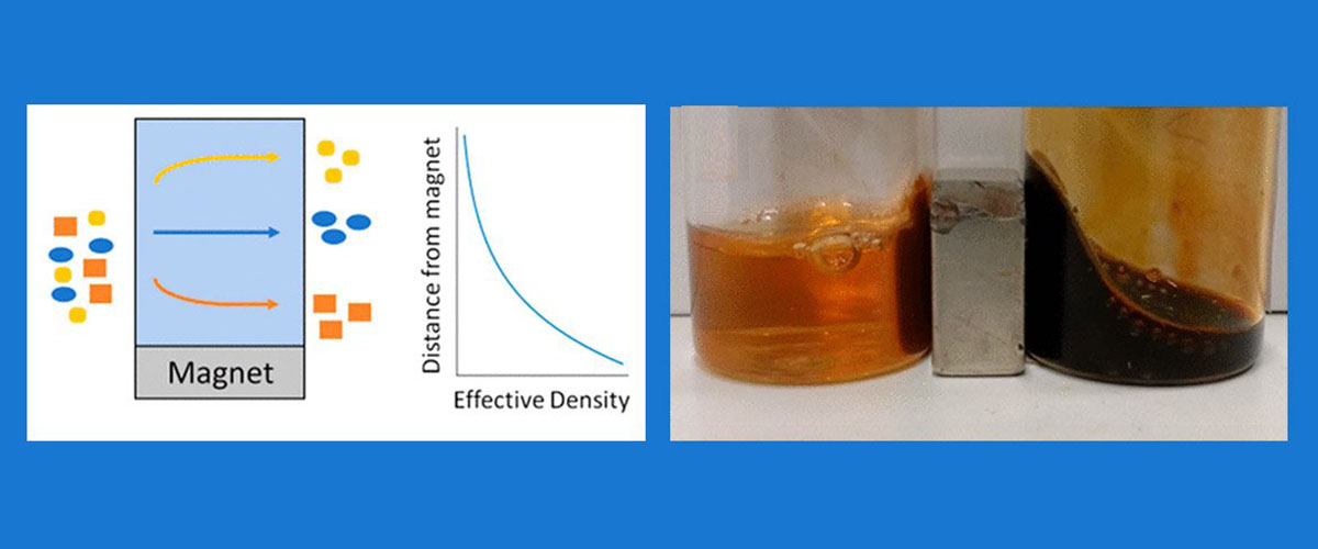 Left: In magnetic density separation, a magnet magnetizes a magnetic fluid and produces a field gradient, resulting in an effective density gradient used to separate plastics of different densities. Right: A powerful neodymium magnet sits between two different ferrofluid solutions. The solution on the right remained stable in the magnetic field. In the solution on the left, however, the iron oxide particles clumped together where the field was strongest.