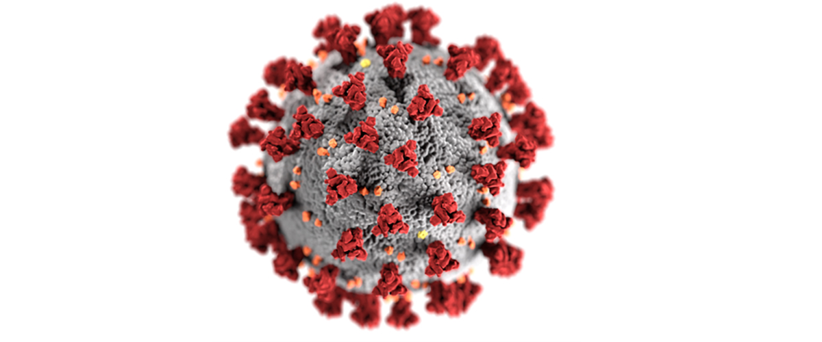 An image of the COVID-19 virus 