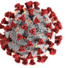 An image of the COVID-19 virus 