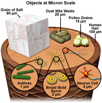 objects at micron scale