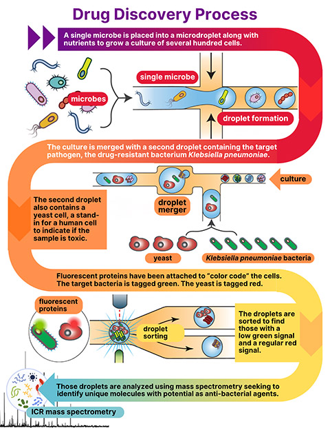 Illustration of drug discovery process