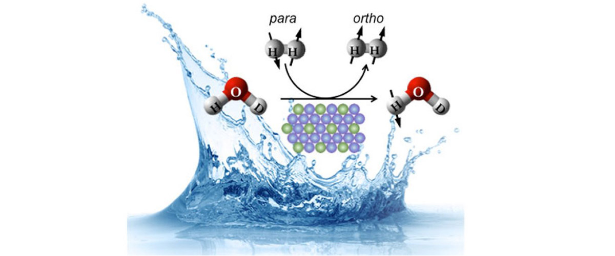The protons of liquid water (HDO) are hyperpolarized by spin transfer from co-adsorbed parahydrogen on the surface of platinum-tin nanoparticles. Parahydrogen (antiparallel arrows) is converted to orthohydrogen (parallel arrows) in this process.