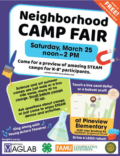 Neighborhood Camp Fair Flyer