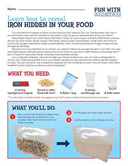 See iron in food worksheet cover