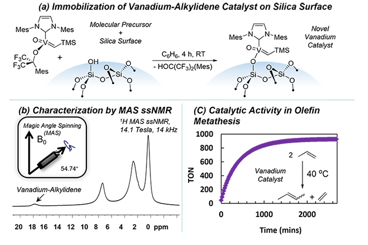 Set of graph from Vanadium research