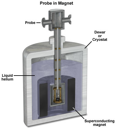 Diagram of a probe inside the magnet