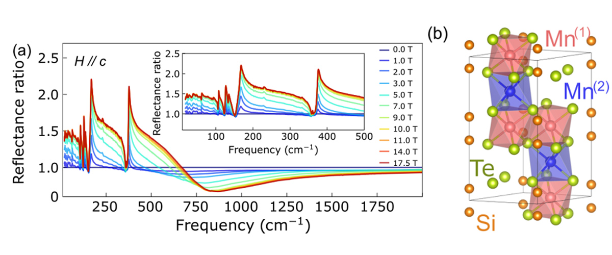 Unconventional insulator-to-metal phase transition in Mn3Si2Te6 