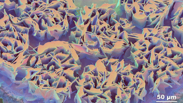 Animation of  etched Bi-2212 strand sub-element cross-section
