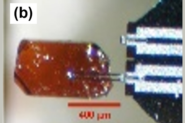 A 0.4mm long sample mounted on a piezoresistive torque magnetometer.