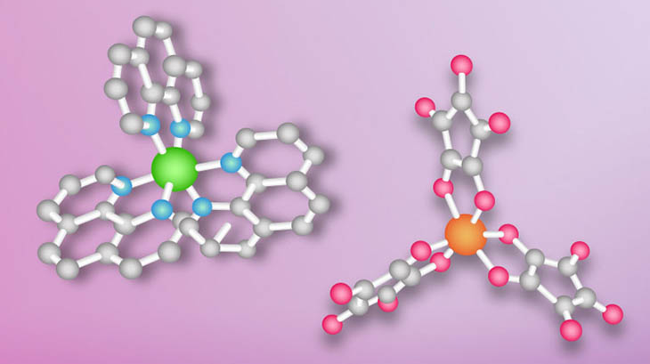 Freedman’s group synthesized these two qubit candidates — [Ni(phen)3](BF4) and (Ph4P)3[Fe(C5O5)3] — and measured them at the National MagLab.