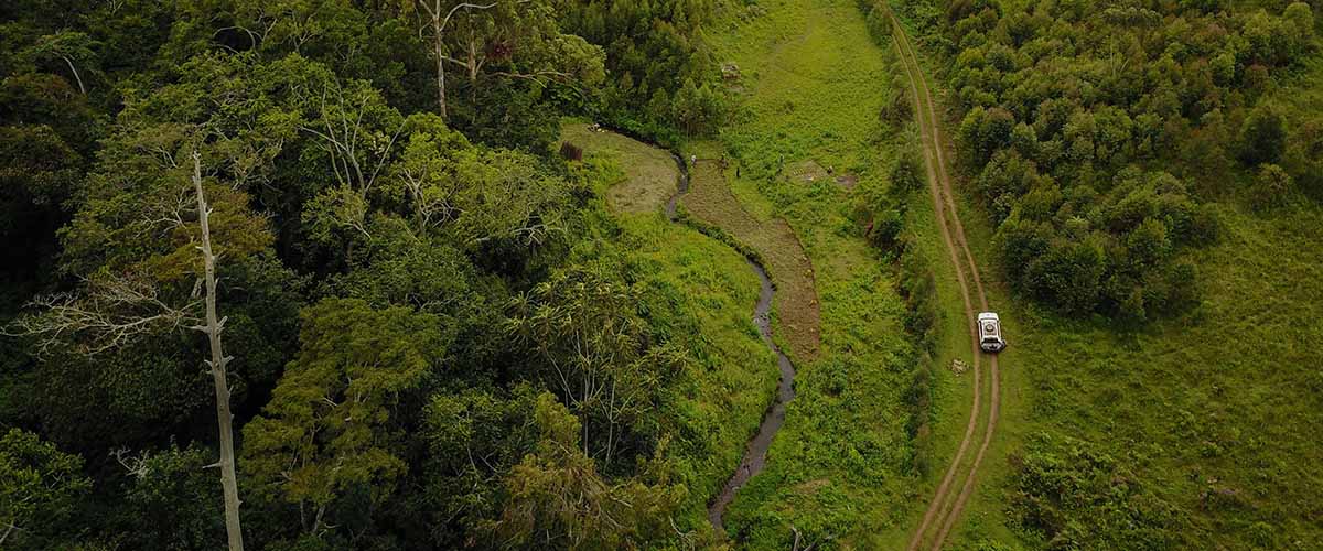 Florida State researchers working in the Democratic Republic of the Congo found a link between the churning of deep soils during deforestation and the release of carbon dioxide through streams and rivers.