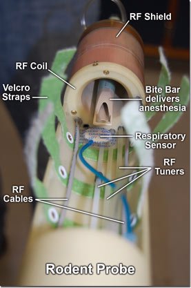 Rodent probe