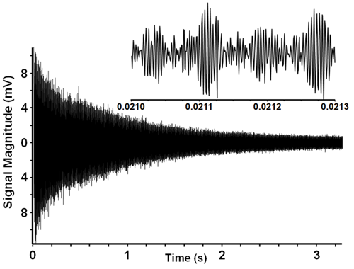 Ion cyclotron resonance time domain signal.