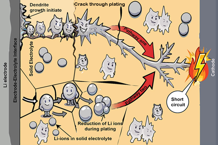 Illustration of the dual-path dendrite formation mechanism in solid-state batteries, highlighting the interplay between interfacial lithium plating and internal electrolyte reduction.
