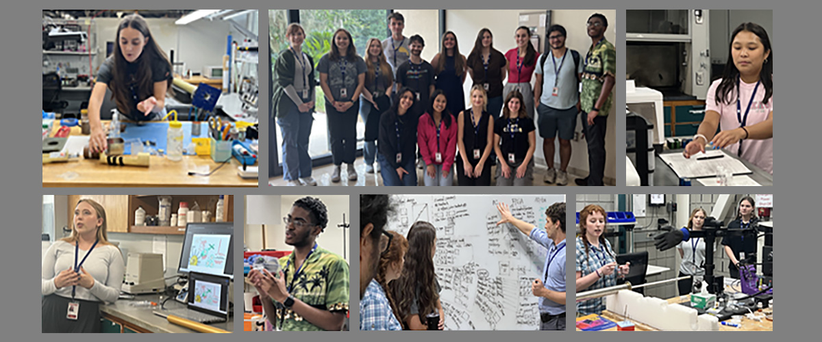 2025 REU students
