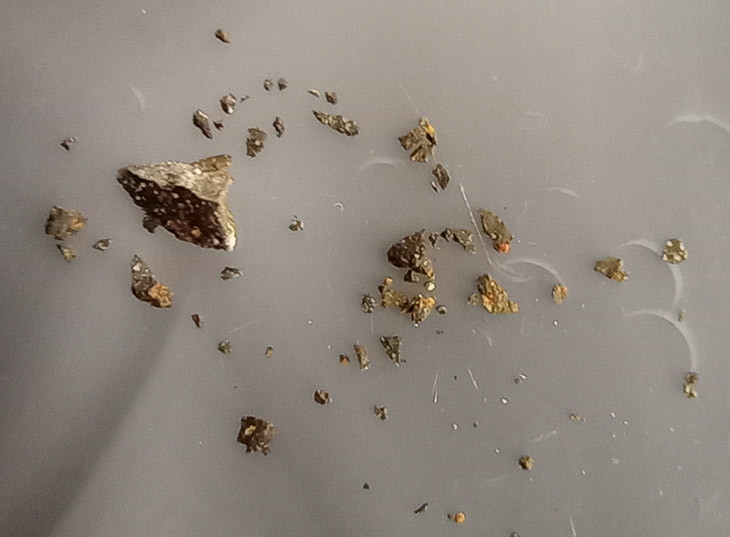 Pieces of the Murchison meteorite examined at the National MagLab