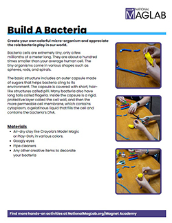 Try This at Home - Build a Bacteria worksheet cover