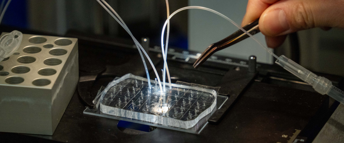 Microfluidics system for droplet screening