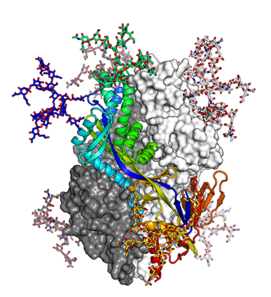 Illustration of a complex biomolecule