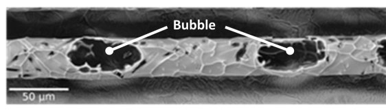 Single filament of Bi-2212 from a wire quenched during the heat treatment showing bubbles that formed when the Bi-2212 powder melted.