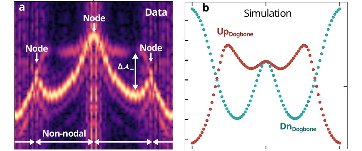 Left: Measured quantum-oscillation frequencies. Right: The branches join at symmetry-protected nodes and separate elsewhere—the bulk fingerprint of g-wave order. 
