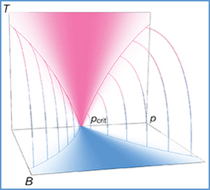 Schematic doping-field-temperature phase diagram in the vicinity of critical doping.