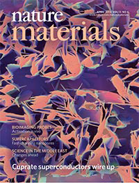 A higher magnification image was used for the cover of Nature Materials