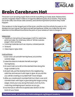 Worksheet brain cerebrum hat thumbnail