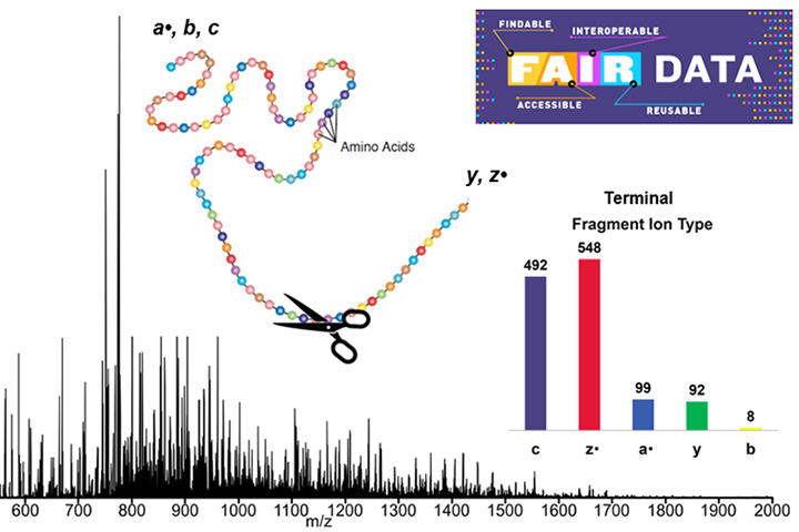 Fragments observed after transferring electrons to the protein carbonic anhydrase II.