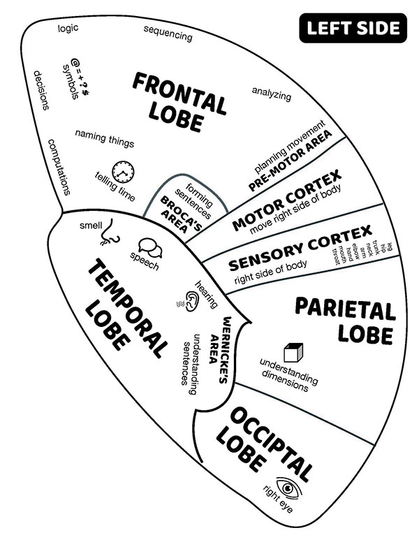 Brain hat hotsell