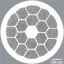 Cross section of Bi-2212 wire.