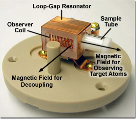 The RF coil of the low-E probe.