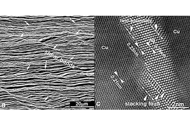 Microscopy images on longitudinal x-section