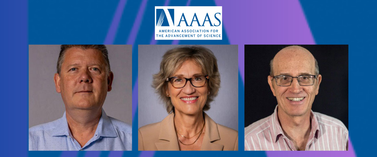 Left to right: Stephen Hill, Dragana Popovic, and Theo Siegrist