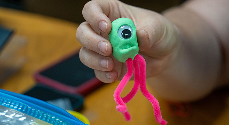 Adding a pipe cleaner to a bacteria